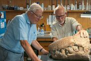 skull ancient sea monster found dorset coast 