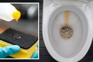 how to remove limescale melts off toilet bowl