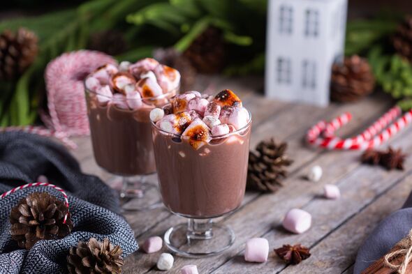 Traditional Christmas drink, hot cocoa chocolate with roasted marshmallows